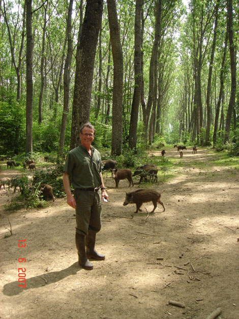 foret a vendre dans l'yonne